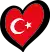 ESC-Logo der Türkei