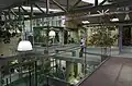 Innenansicht Exotarium
