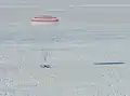 Die Kapsel im Moment des Aufsetzens am 6. Februar 2020