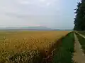 Landschaft in südliche Richtung im Sommer