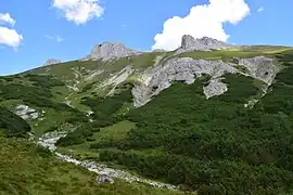 Südwestseite des Fölzkogels vom Karlgraben aus.