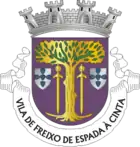 Wappen von Freixo de Espada à Cinta