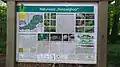 Hinweistafel am Parkplatz auf den Naturwald