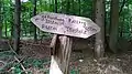 2 Rundwanderwege im Rehbergholz