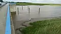 Ostgrenze des FFH-Teilgebietes Grüne Insel mit Eiderwatt an der Eiderbrücke bei Tönning