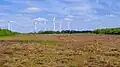 Blick vom Aussichtsturm auf das Weiße Moor