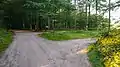Ehemaliger Waldparkplatz im FFH-Teilgebiet Broholm