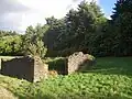Burgruine