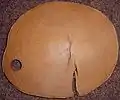 Querschnitt durch einen Rotbuchenstamm