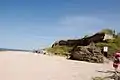Naturreservat Falaise du Cap Romain