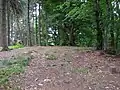 Blick auf den Gipfel. Der Trigonometrische Punkt unten rechts befindet sich rund 10 Meter vom Gipfel entfernt