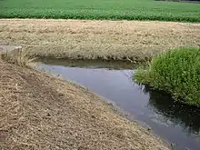 Die Mündung der Ronceva in die Flöthe