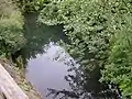 …und dann zu einem kleinen Teich aufgestaut, bevor sie wieder „Unter Tage“ verschwindet.