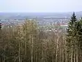 An der Nordwestflanke des Wurzelbrink erlaubt eine Lichtung den Blick ins Lübbecker Land