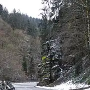 Falkenstein von Norden