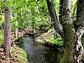 Fallbach