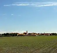 Fara Olivana
