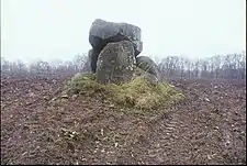 Fastmårupsdösen