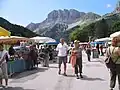 Almabtriebsfest in Gresse