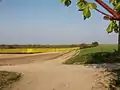 Felder am Thieberg