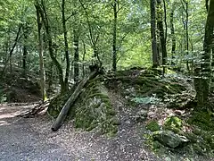 Felsböschungen am Zusammenfluss von Ostringhauser Bach u. Paulssiefen in den Sengbach