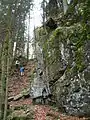 Felsensteig zwischen dem Hirschbachfall und den Zweribachwasserfällen