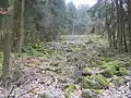 Kleines Flasergranitoid-Felsenmeer am Rimdidim-Westhang bei Steinau
