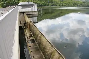Fischbauchklappe am Stausee Obermaubach