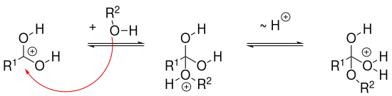 Mechanismus 2 Veresterung