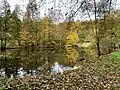 Fischteich an der Neye Unternien