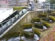 Wasserkraftschnecke am Wehr von Schloss Laer (neben Fischpass)Leistung ca. 15&nbsp;kW