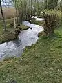 Fischtreppe