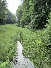 Fladderkanal im Darener Wald