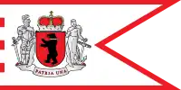Moderne Version der samogetischen Flagge