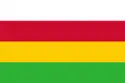 Flagge der Gemeinde Dantumadiel