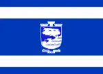 Flagge von Cholon (Variante)