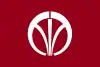 Flagge/Wappen von Iizuka