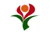 Flagge/Wappen von Soo