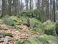 Flasergranitoid-Felsgruppe