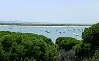 Río Piedras und Flecha del Rompido