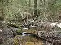 Fleißenbach im Oberlauf