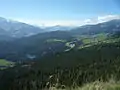 Flimser Wald