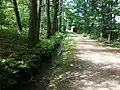 Floßgraben beim Nachtsanatorium Niederschlema