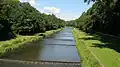 Wiese flussaufwärts