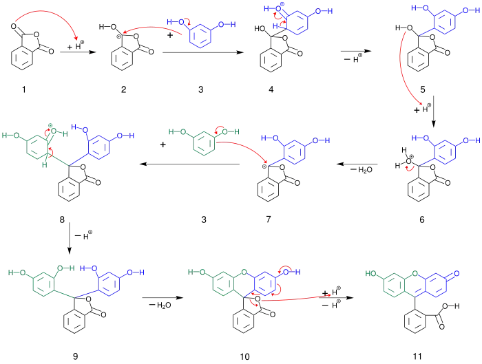 Mechanismus der Fluoresceinsynthese