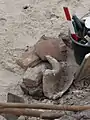 Fundstücke auf der Grabungsfläche, Ziegel und Dachpfannenfragmente