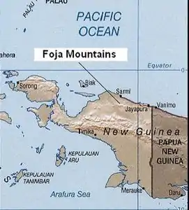 Fojagebirge auf Neuguinea