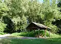 Robertsauer Wald