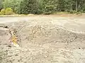 Historischer Damm im Stauraum des Fortuner Teiches