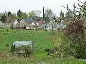 Frühling